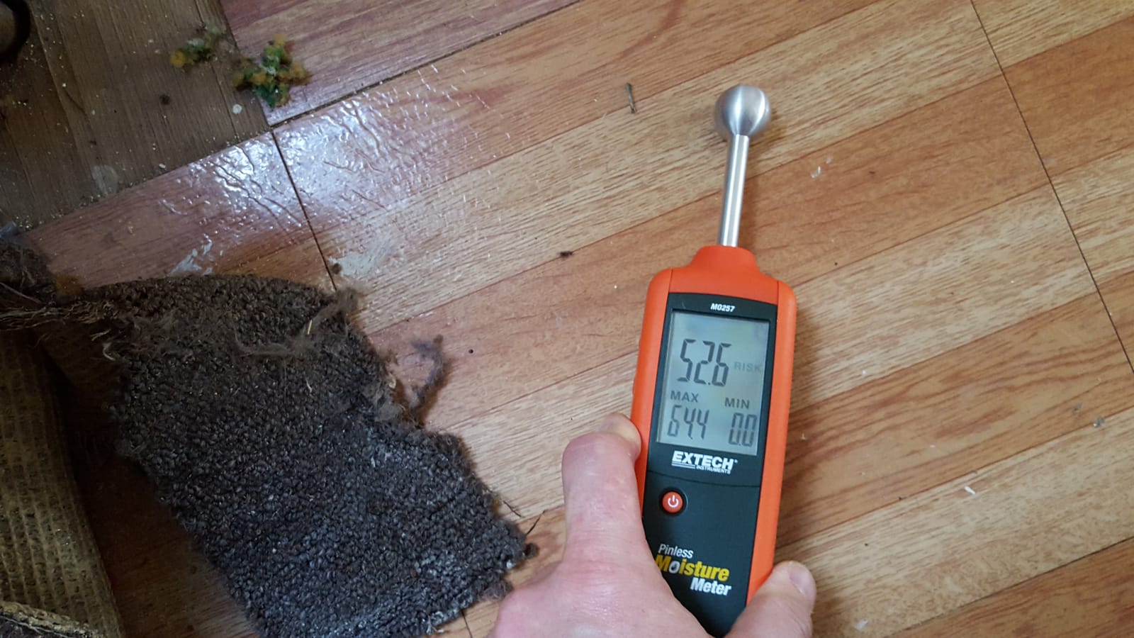 Pinless Reading on Hardwood