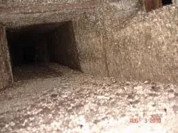 Mold contamination found inside an HVAC system that needs full decontamination