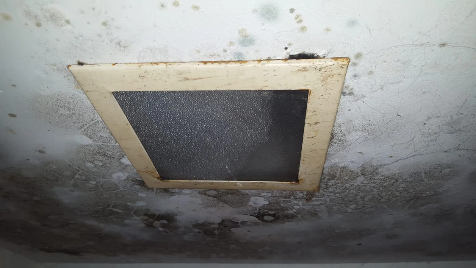 Heavy black and green mold spreading around a ceiling HVAC vent from chronic moisture