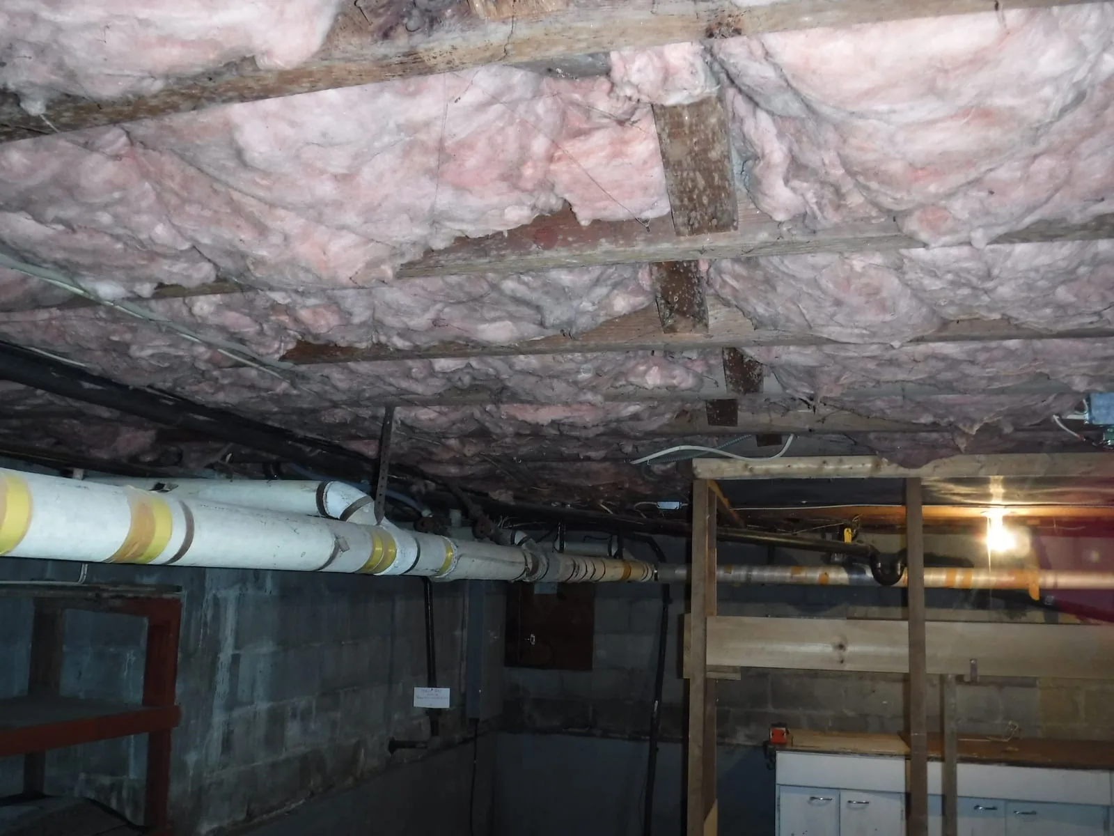 Active black mold (Stachybotrys) colonies on a wet basement wall in Stamford CT