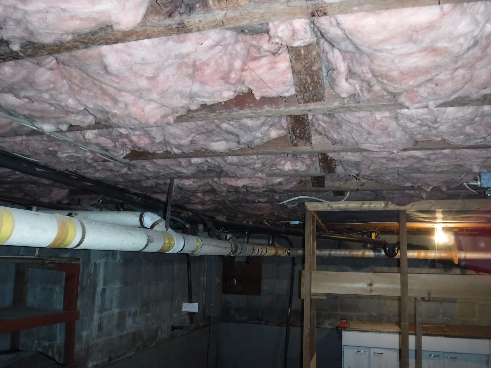 Black mold growing on wet basement wall in Stamford CT