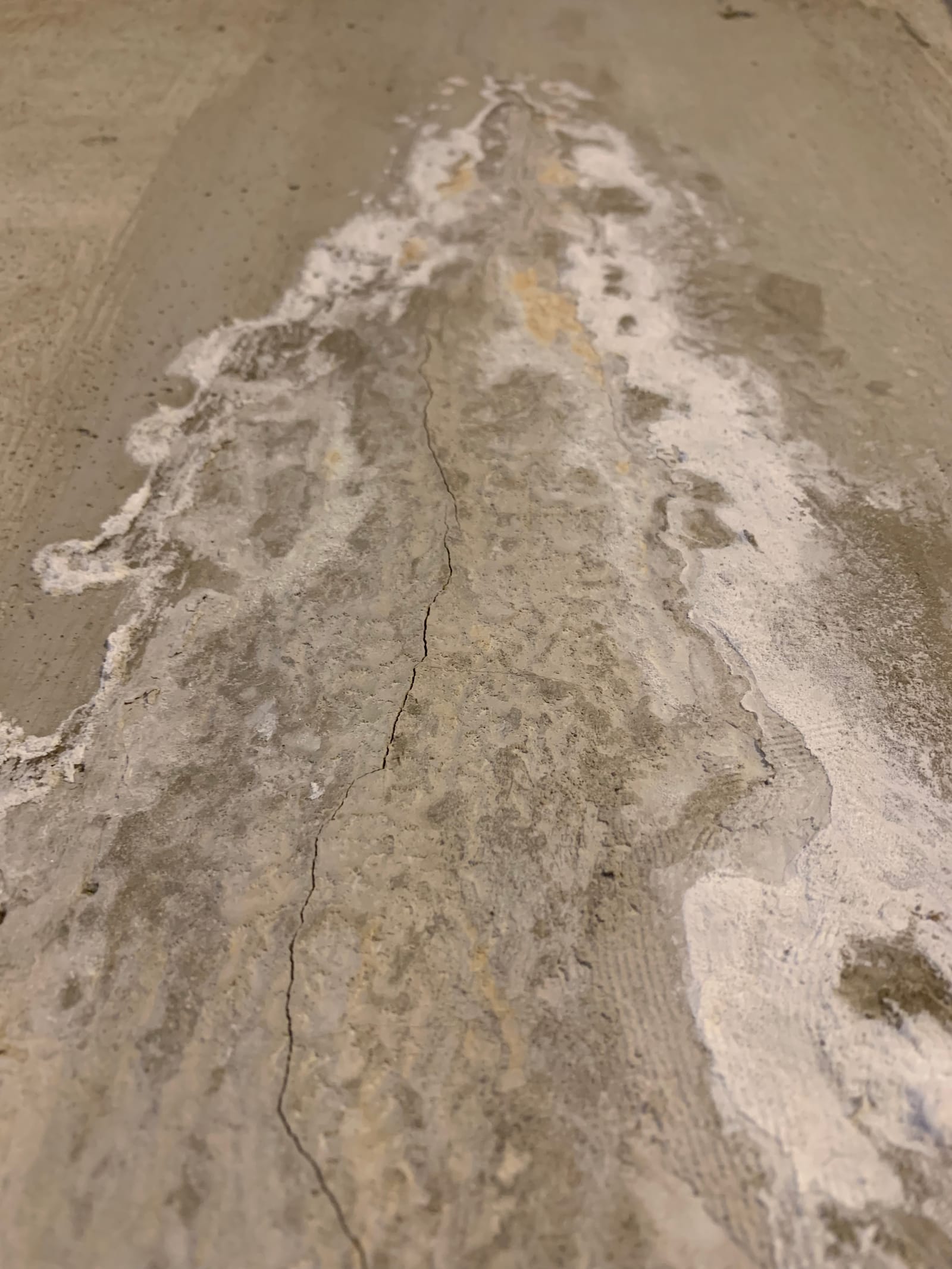 Efflorescence white powder on foundation wall in Darien CT basement