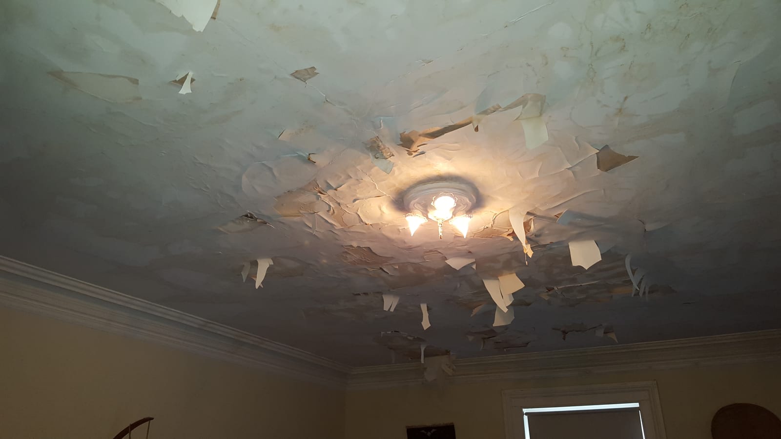 Water stain spreading on plaster ceiling from a hidden plumbing leak above