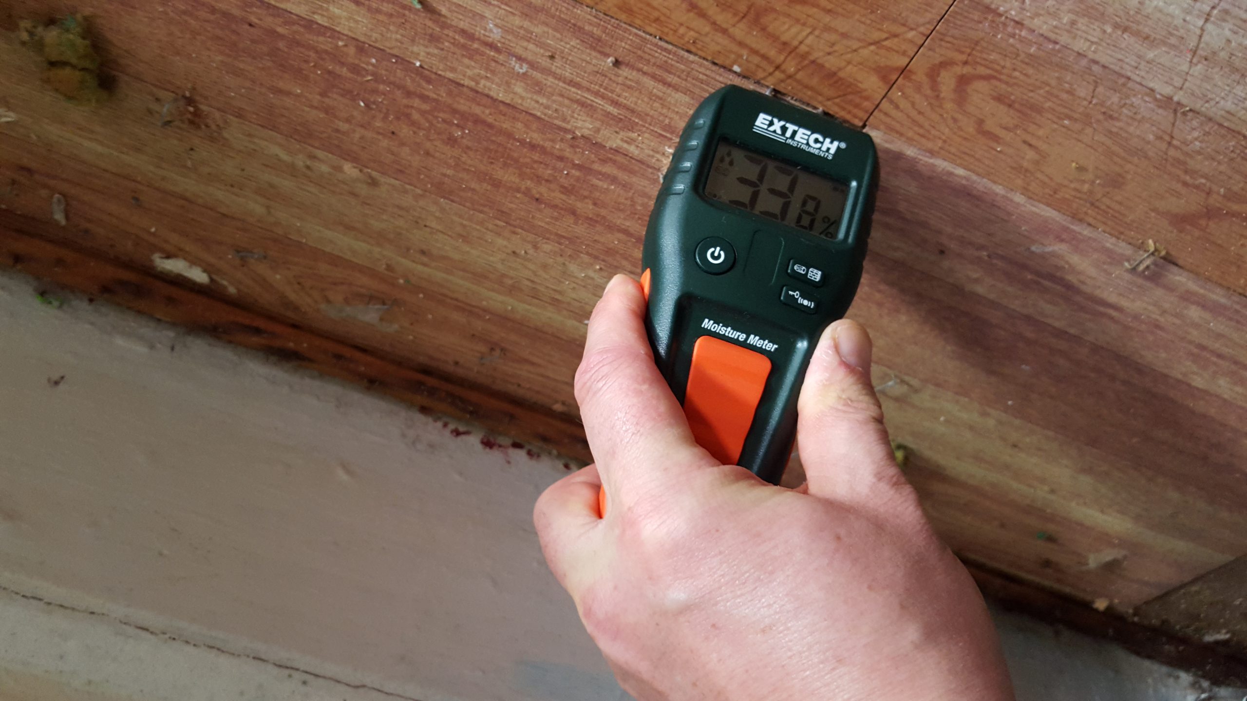 Mold Testing process