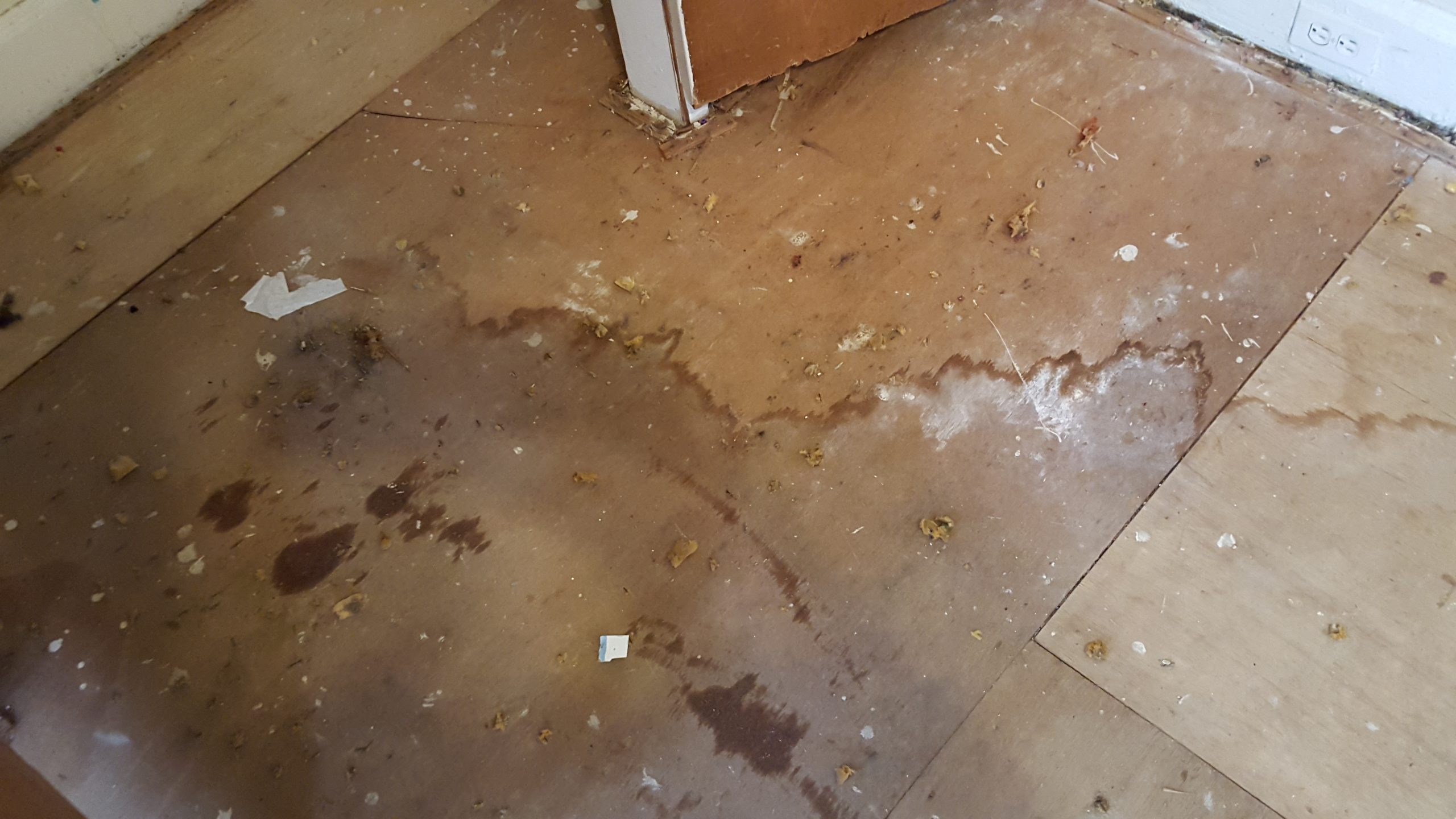 Storm damage restoration 3
